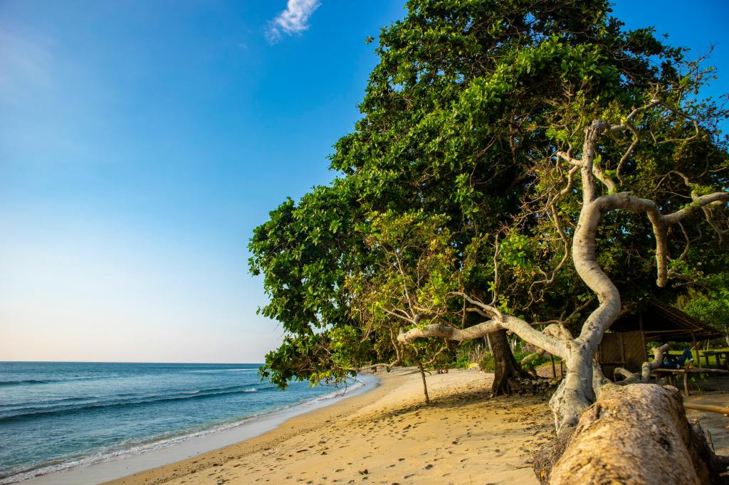 Explore Lombok’s Natural&nbsp;Wonders