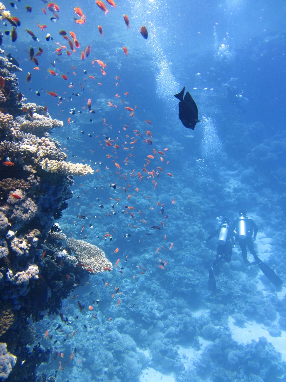 Best Snorkeling Spots in Lombok