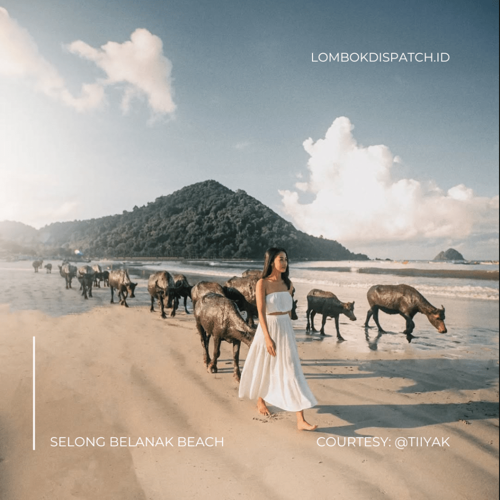 Beaches in Lombok Selong Belanak