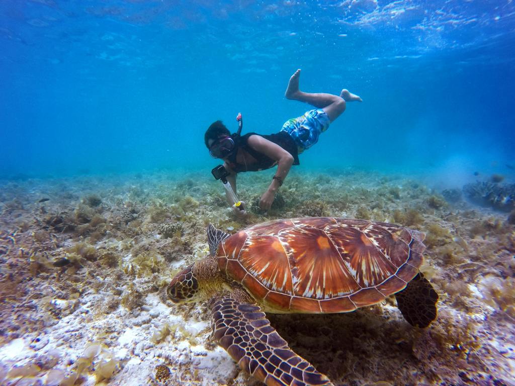 9 Best Snorkeling Spots in&nbsp;Lombok