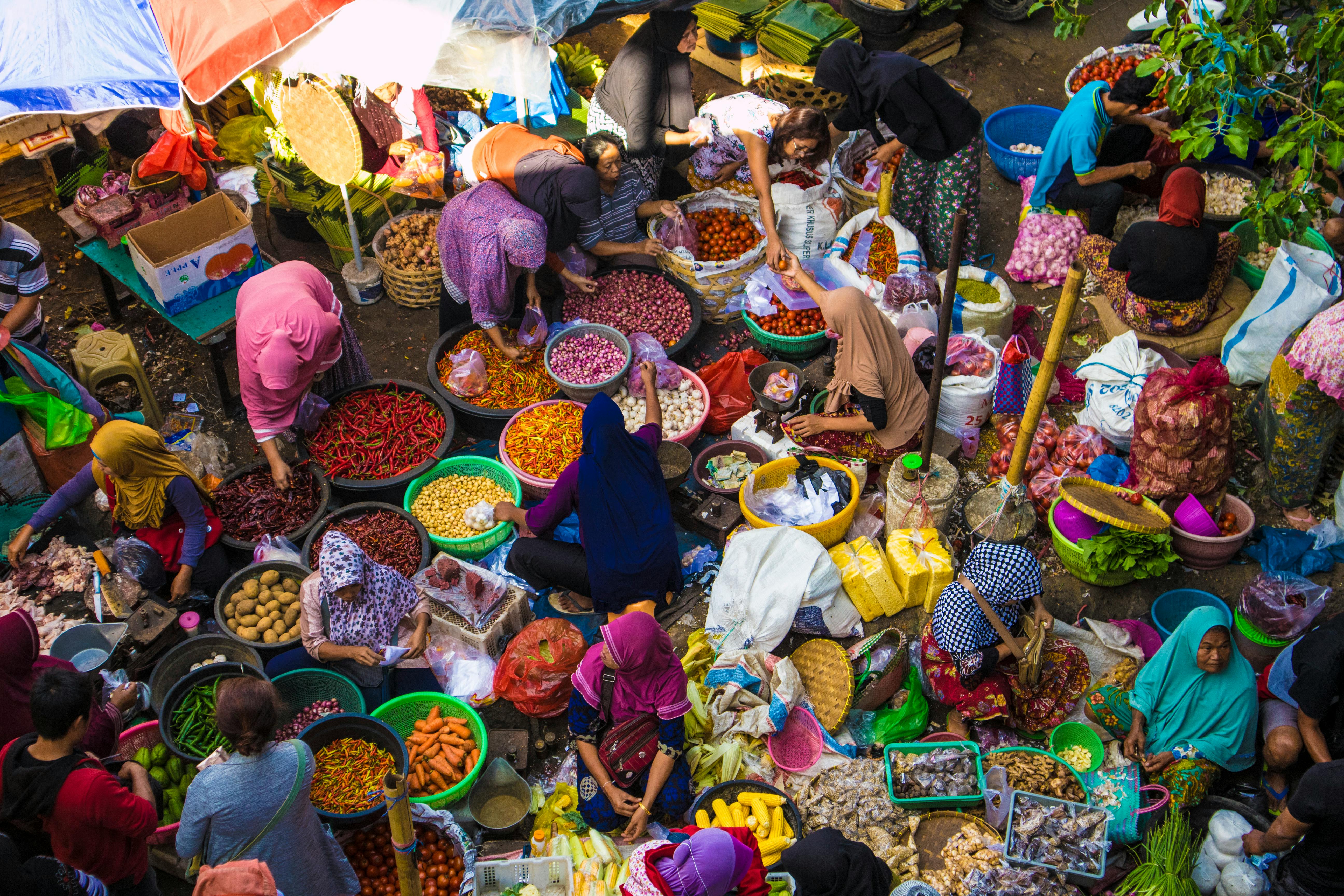 News Story From Lombok