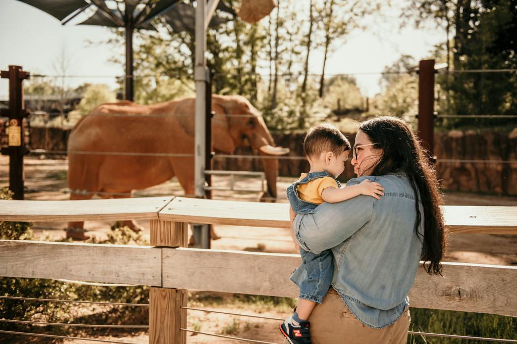 Top Things to Do at Lombok Wildlife Park: A Complete&nbsp;Guide