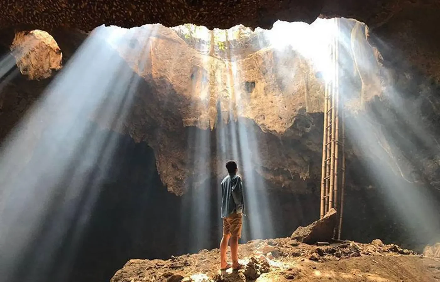 Discover Gua Bangkang Prabu the Magical Bat Cave in Lombok