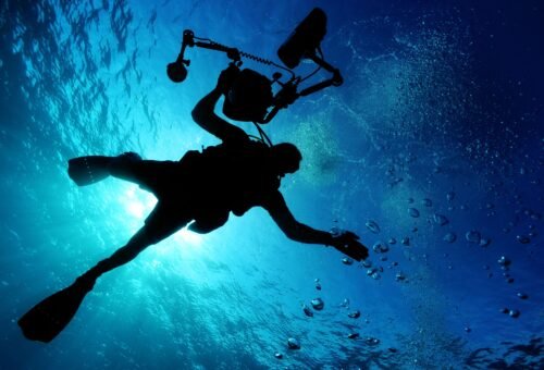 Diving in Lombok: Guide to the Island’s Top Dive Sites