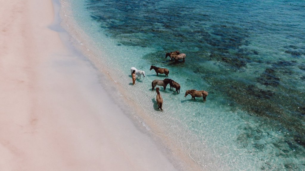 Explore Gili Asahan – Lombok’s Secret Gili&nbsp;Island