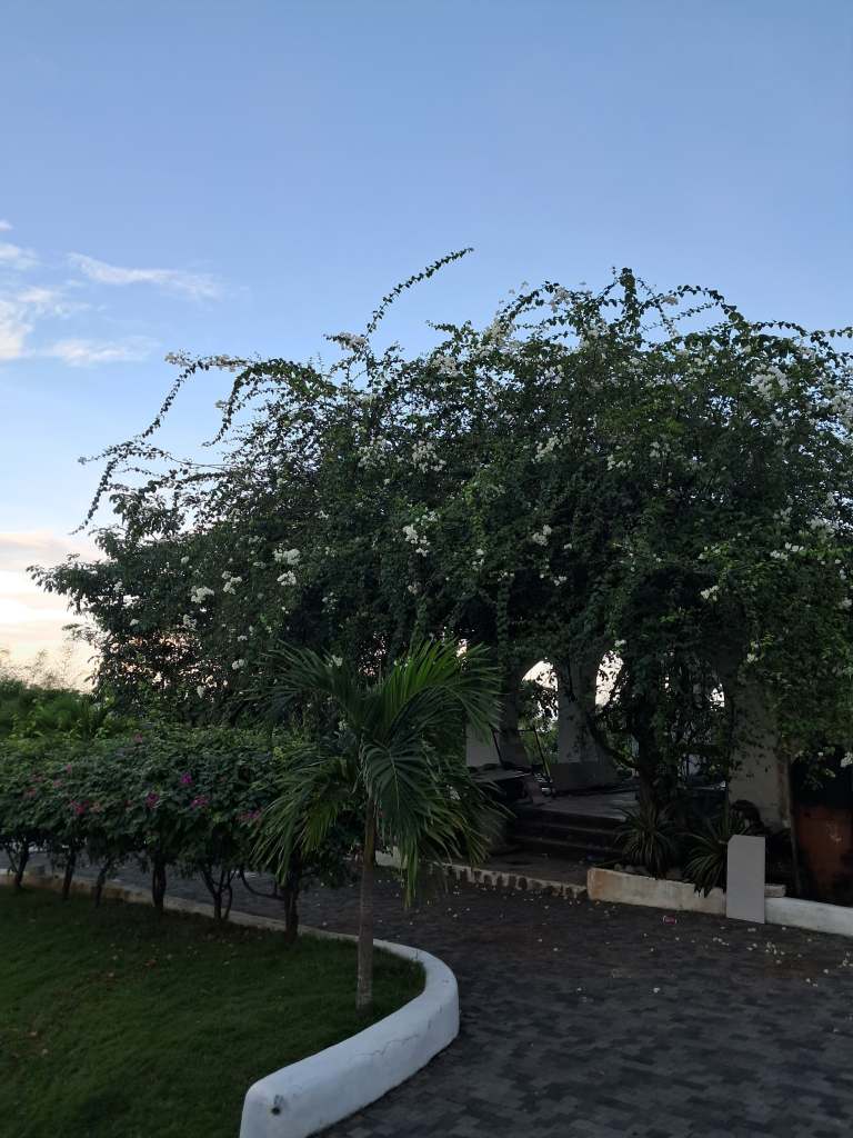 Cengklek Hill or Sky Lancing Senggigi