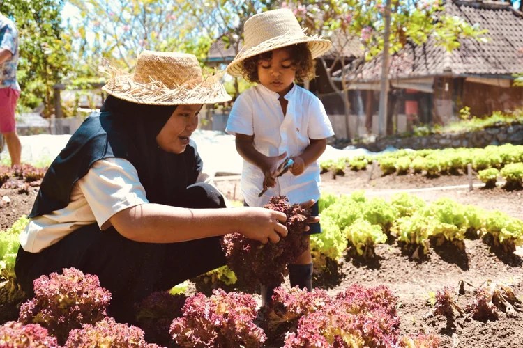 Saifana Organic Farm: A Dream for a Better&nbsp;Life