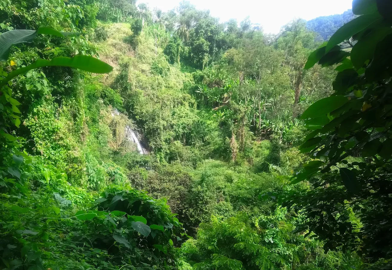 Kerta Gangga Waterfall: A New Destination to Explore