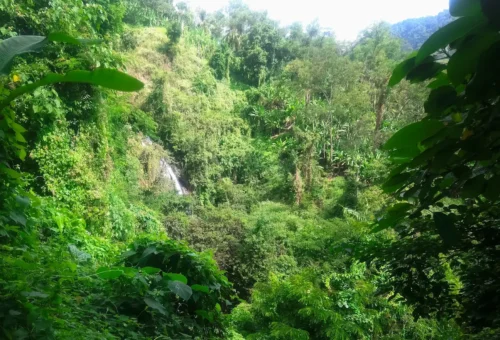 Kerta Gangga Waterfall: A New Destination to Explore
