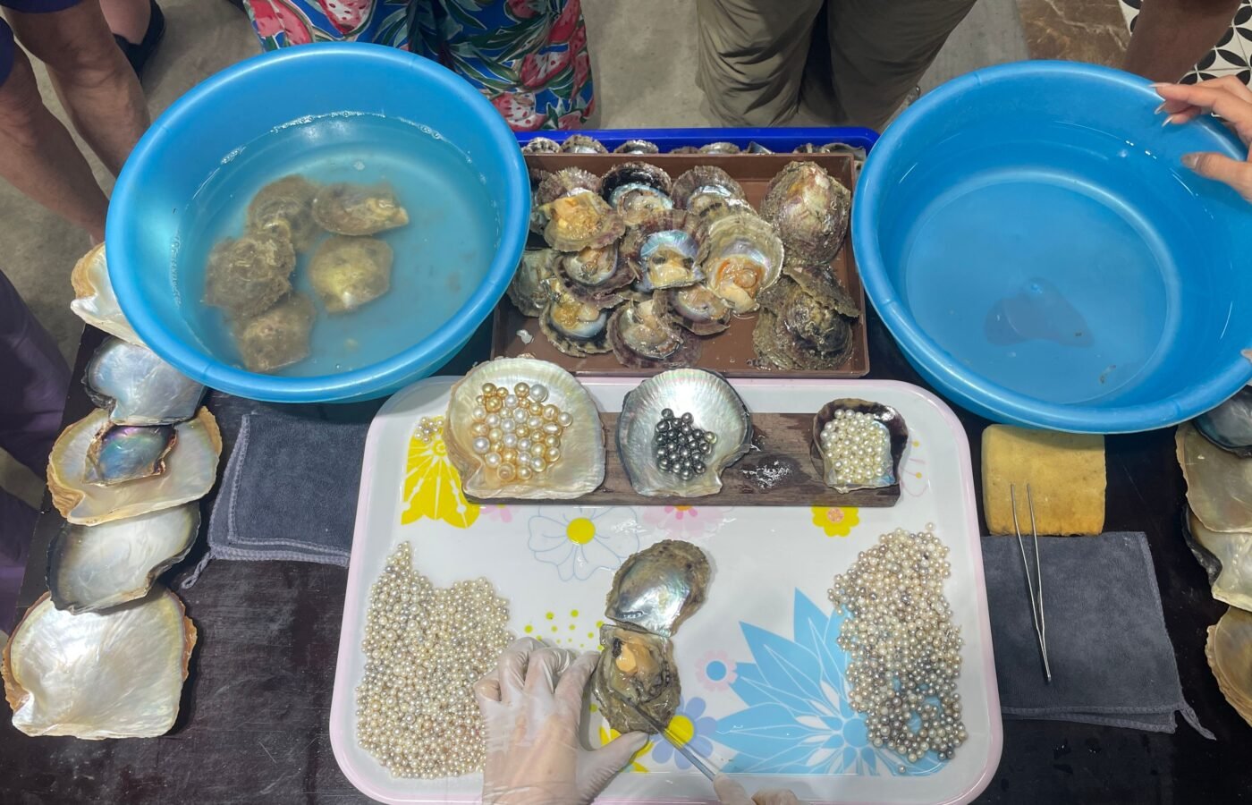 Discover the Elegance of Lombok Pearls