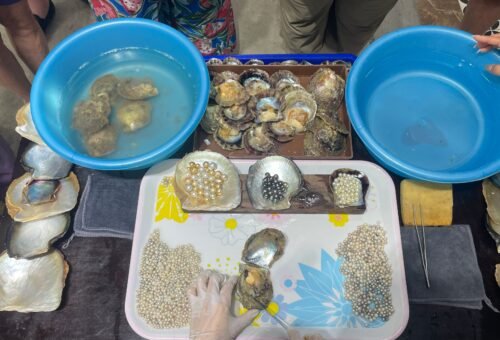 Discover the Elegance of Lombok Pearls
