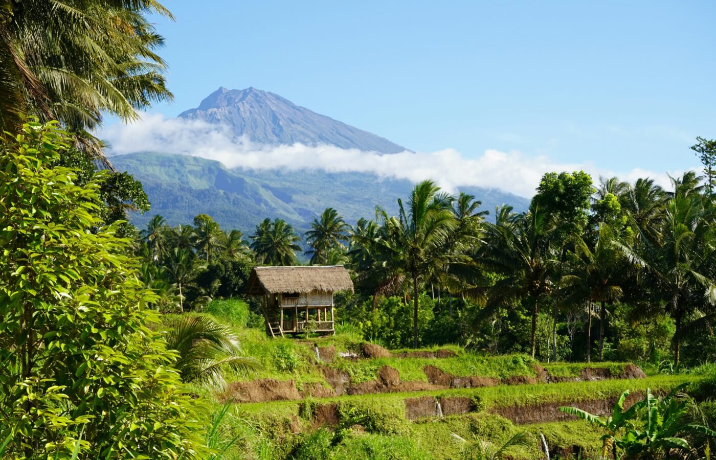East Lombok: Rice Terraces, and the Gateway to Mount Rinjani