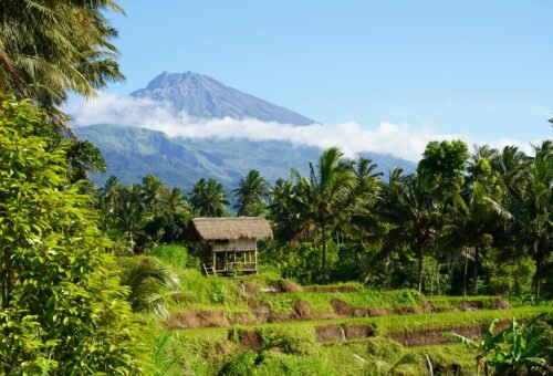 East Lombok: Rice Terraces, and the Gateway to Mount Rinjani